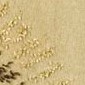 beige/gold