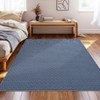 Printed Area Rug, Realistic Braided-Look Textured Design, Machine Washable Non-Shedding Rug, Soft Non-Slip Indoor Carpet Durable Fade-Resistant - 4 of 4