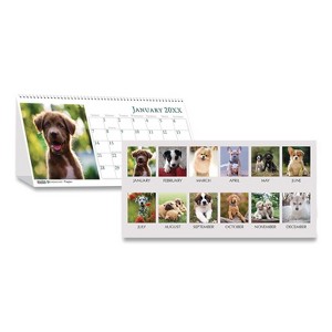 Earthscapes Recycled Desk Tent Monthly Calendar, Puppies Photography, 8.5 x 4.5, White Sheets, 12-Month (Jan to Dec): 2026 - 1 of 4