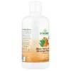 Dynamic Health Aloe Vera Juice, Orange Mango, 32 fl oz (946 ml) - 4 of 4