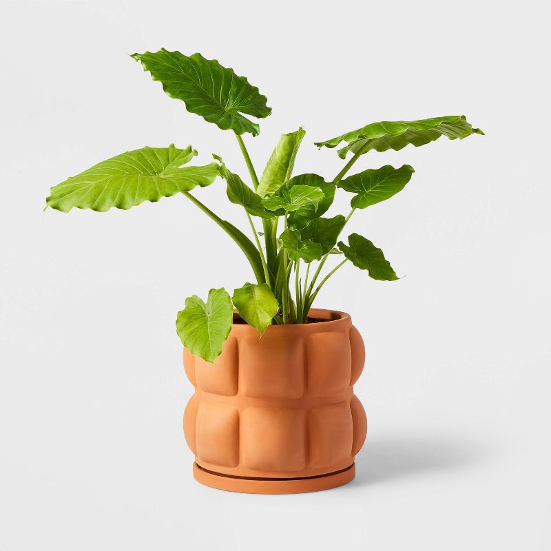 Hilton Carter for Target Terracotta Embossed Ceramic Indoor Outdoor Planter Pot Orange, 2 of 5