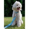 Country Brook Petz Deluxe Nylon Dog Leash, 6 Foot - 3 of 4