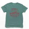 Simply Sage Market Denali National Park and Reserve Alaska EST. 1917 Garment Dyed Tee - 2 of 4