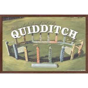 Trends International The Wizarding World: Harry Potter - Witness Quidditch Framed Wall Poster Prints - 1 of 4
