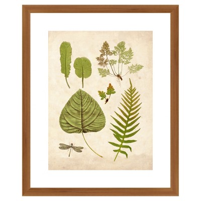 18" x 22" Matted to 2" Traditional Leaves Picture Framed Brown - PTM Images