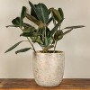 Storied Home Textured Stoneware Planter - 3 of 4