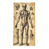 ATC Human Anatomy Door Curtain Halloween Decoration - Off-White - 2 of 2