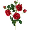 Northlight Real Touch™ Red Artificial Camellia Rose Floral Sprays, Set of 6 - 23" - 4 of 4
