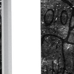 new england patriots