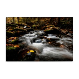 Stupell Industries Fallen Leaves on Stream Canvas Art - 1 of 4