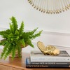 Sagebrook Home Ceramic Hand Sculpture - Contemporary Abstract Creative Asking Hand Statue Unique Table Decor - 2 of 4