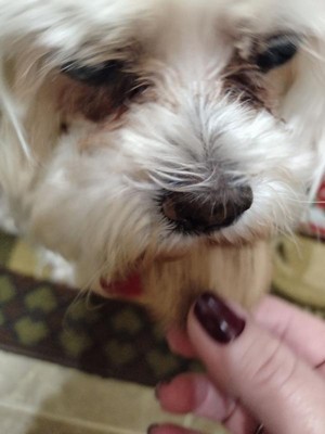 Guest review image 3 of 3, zoom in