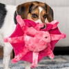 FurHaven Pet Products Crinkle & Toss Plush Dog Toy - Vampire Squid - 3 of 3
