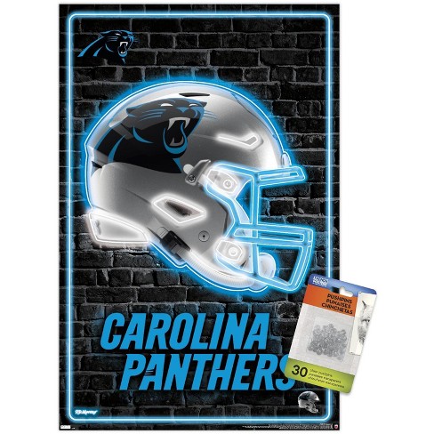 Pin on Carolina Panther football