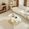 PAGED Oval Coffee Table Modern Minimalist Fiberglass Living Room Table with Sculptural Base, Center Table for Living Room, Study - 2 of 4