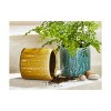 TAG Avery Planter Ochre Yellow Glazed Terracotta, 5.5L x 5.5W x 5.5H inches - image 2 of 2