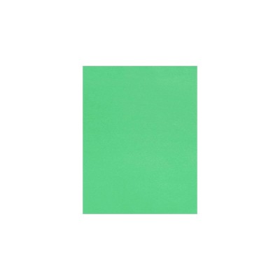 LUXPaper 8.5 x 11 Paper | Letter Size | Pastel Green | 60lb. Text | 50 Qty