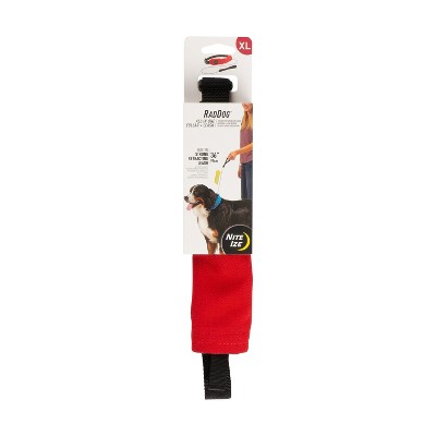 Nite Ize Raddog All-in-One Collar and Leash Combo - Dog Collar with Built-in Retractable Leash