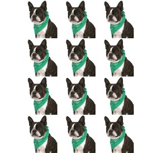 12 Pack Paisley Triangle Cotton Dog Bandanas for Daily Wear or Events - 1 of 4