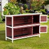 PawHut 54" 2-Story Rabbit Hutch Bunny Cage With Openable Roof, No Leak Tray and Fun Enclosed Run, Indoor/Outdoor - 2 of 4