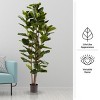 Fiddle Leaf Fig Tree - 72-Inch Fake Plant with Pot and Natural Feel Leaves for Home or Office - Artificial Plants Decor for Indoors by Pure Garden - image 3 of 4