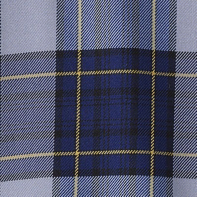classic navy plaid