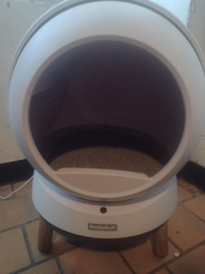 Guest review image 3 of 4, zoom in