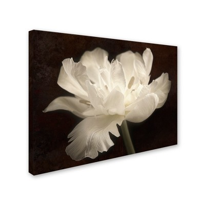 Trademark Fine Art-Cora Niele 'White Tulip II' Matted Framed Art
