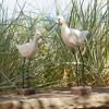 Carved Wood Sea Bird with Metal Stand (Set of 2) - 4 of 4