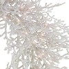 HGTV 30" Pre-lit White Sea Coral Christmas Artificial Wreath Warm White LED Lights - 2 of 4