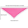 INSPIRE CHIC Shawls and Wraps for Evening Dresses Lace Mesh Fringe Scarves 1Pc - 3 of 4