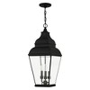 Livex Lighting Exeter 3 - Light Pendant in  Black - 2 of 4