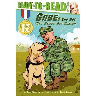 Gabe - (Hero Dog) by  Thea Feldman (Paperback)