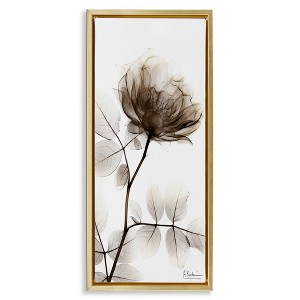 Stupell Industries Contemporary X-Ray Flower, 11" x 25" - 1 of 4