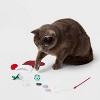 Crinkle Stocking Cat Ball Plush Toy Set - 5pcs - Boots & Barkley™ - 3 of 3