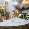 YOOCOZZ Trendy Household Christmas Decoration Set,  Multi-colour Xmas Tree Ball Ornaments, Classic Glass Decorative Hanging Ball Ornaments - 4 of 4