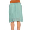 Just Love Skirts / Pleated Skirt - 3 of 3