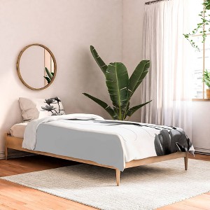 Monika Strigel Black Magnolia Comforter & Sham Set - Deny Designs - 1 of 4
