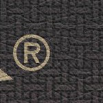florida state seminoles athletic wordmark