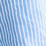 french blue stripe eyelet embroidery