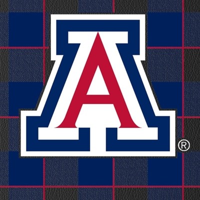arizona wildcats