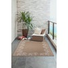 Liora Manne Carmel  Indoor/Outdoor Area Rug.. - 4 of 4