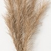 Sullivans Grass Artificial Stem 32"H Gold - 2 of 3