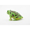 Collectible Wildlife Gifts | Northern Leopard Frog, Spotted Green Amphibian, Hard Rubber Toy, Realistic, Model, Gift,      2"     F4405 B9 - 4 of 4