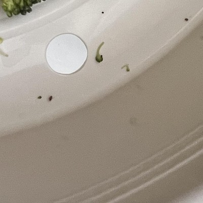Guest review image 2 of 2, zoom in