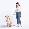 AWOO Infinity Multifunctional Recycled Dog Leash - 7ft - 3 of 4