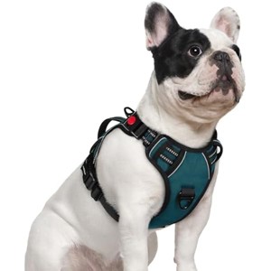 rabbitgoo Dog Harness Small Sized Dog, , Easy Walking Harness with 2 Leash Clips, Green, S - 1 of 1