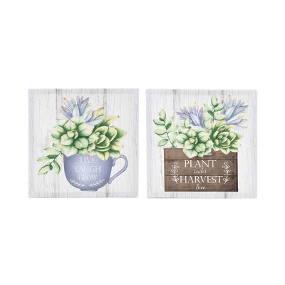 (Set of 2) 12" x 12" Succulent Plants Unframed Wall Canvas White - Prinz