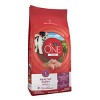 Purina ONE SmartBlend Healthy Puppy Natural Chicken Flavor Dry Dog Food - 3 of 4