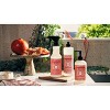 Mrs. Meyer's Clean Day Holiday Hand Soap - Peppermint - 12.5 fl oz - 4 of 4